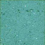 Art Nr KS 011 Turzhese